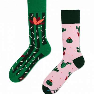 Cactus sokken MM