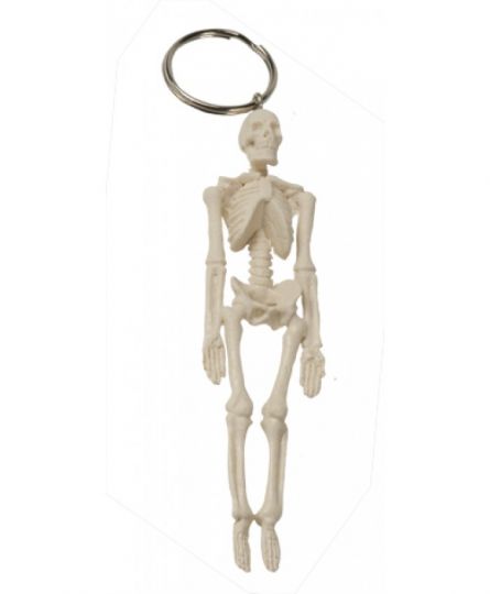Sleutelhanger menselijk skelet